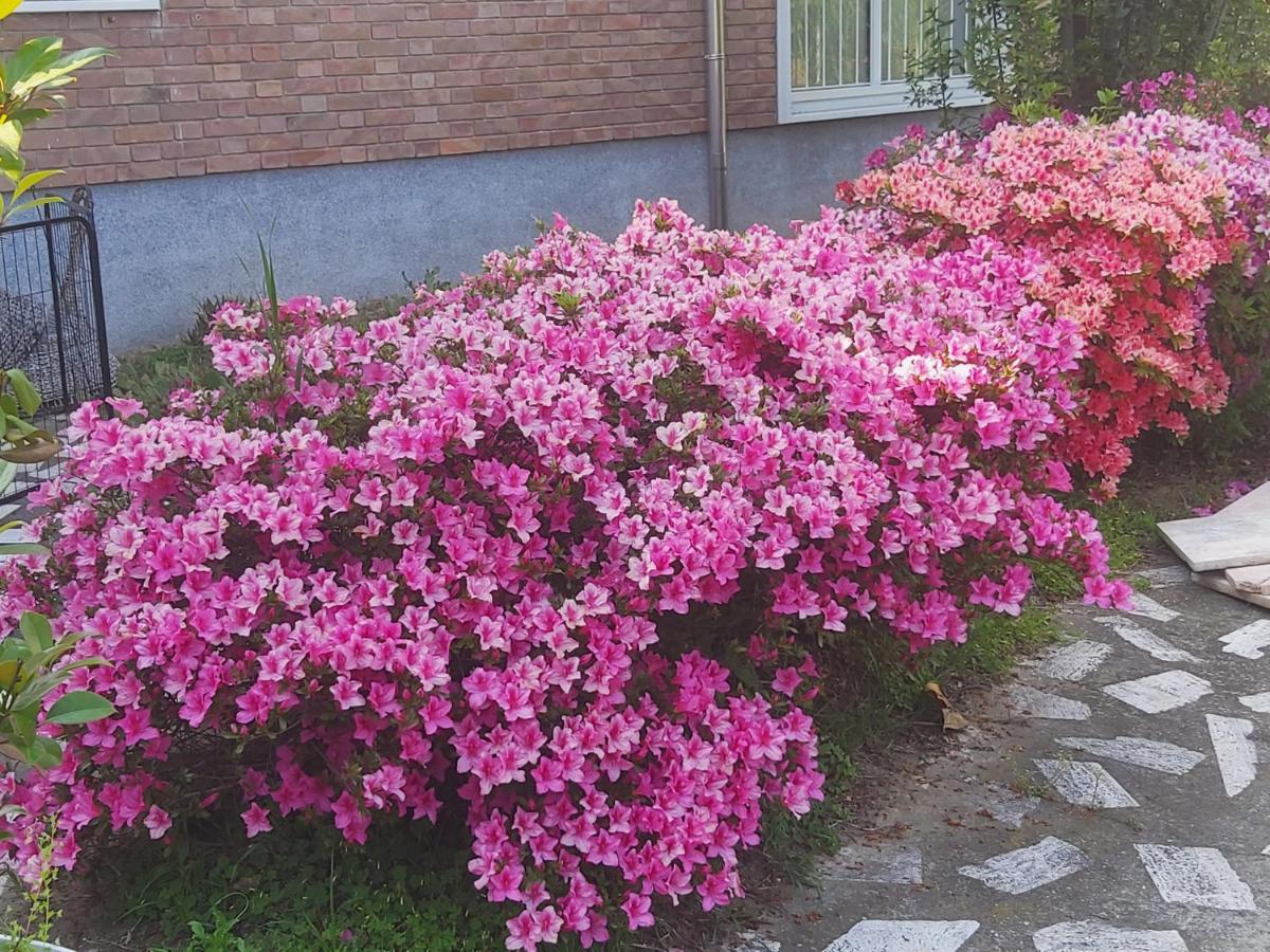 Villa Silvia Olivetti Banchette D'Ivrea エクステリア 写真