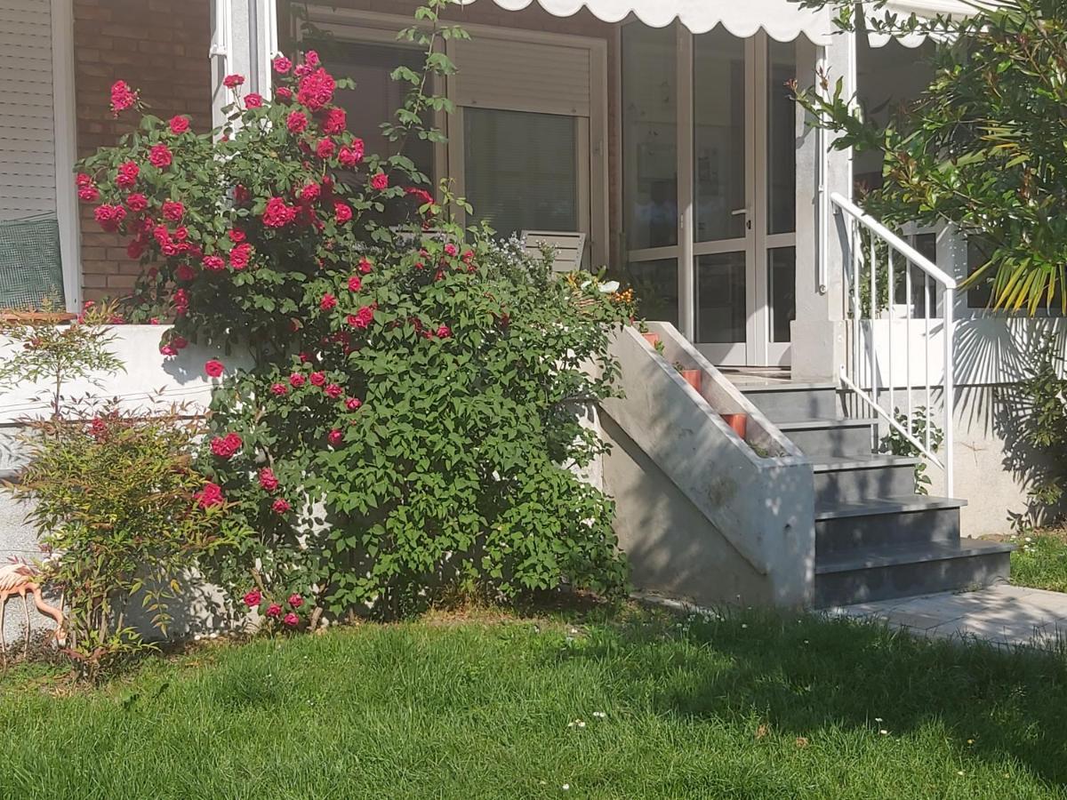 Villa Silvia Olivetti Banchette D'Ivrea エクステリア 写真